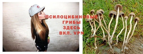 скорость Алексин