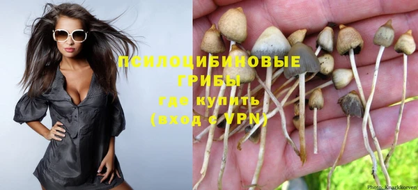 скорость Алексин